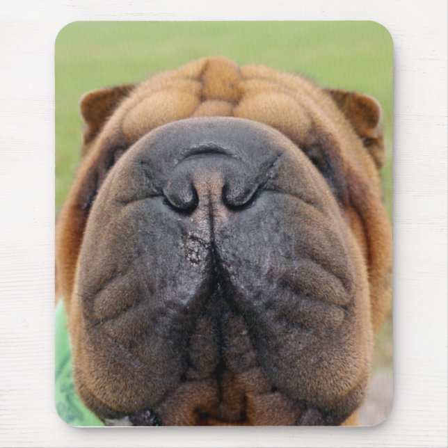 Tapis de souris de Shar-pei (Devant)