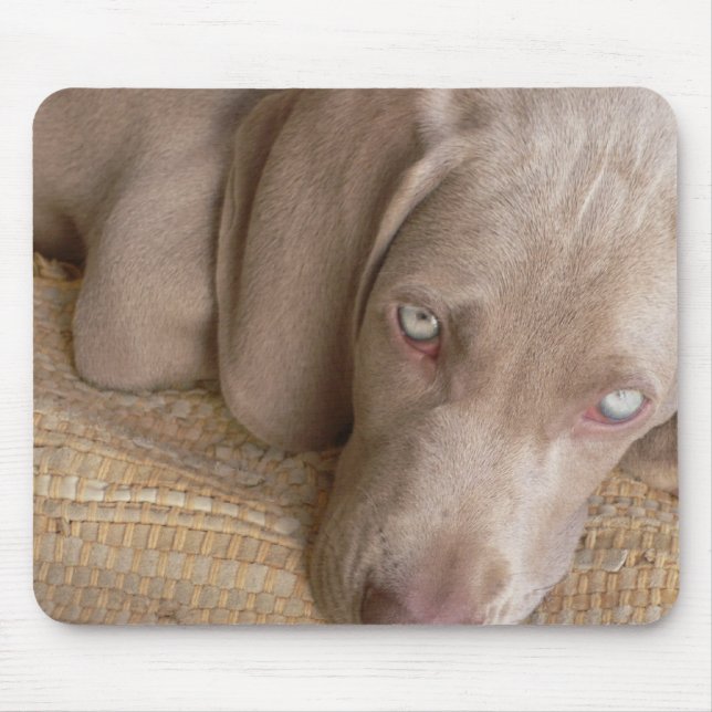 Tapis de souris de sommeil Weimaraner (Devant)