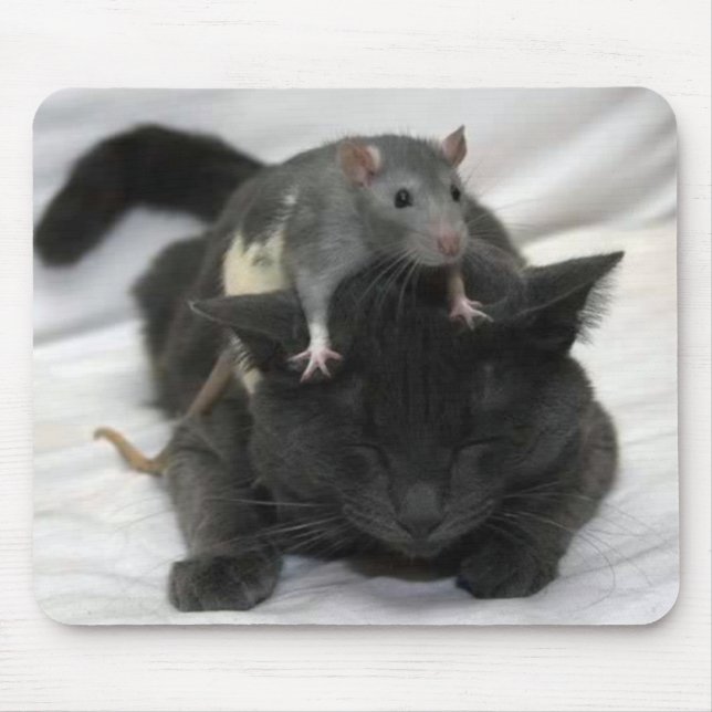 Tapis de souris de souris et de chat (Devant)