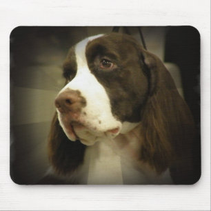 Tapis de souris de springer spaniel