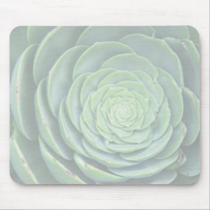 Tapis de souris de succulent de zen