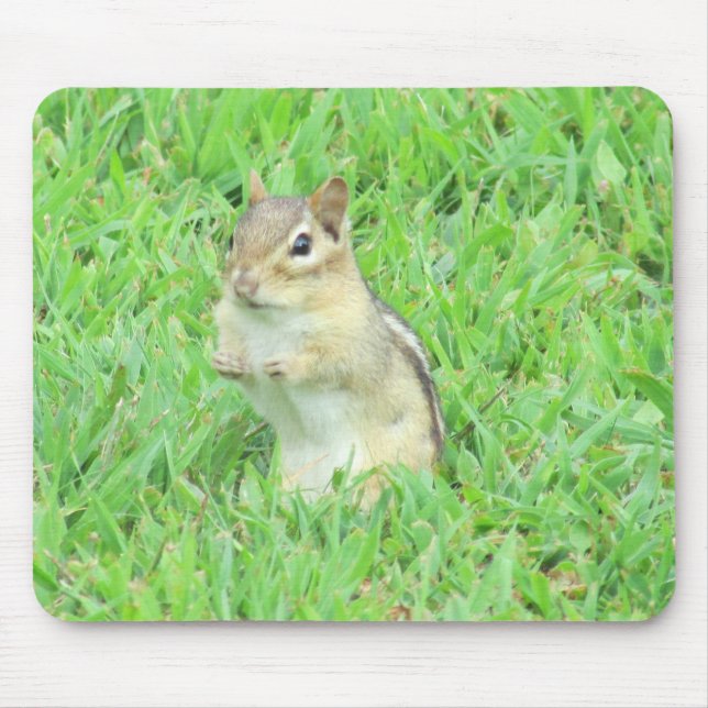 Tapis de souris de tamia (Devant)