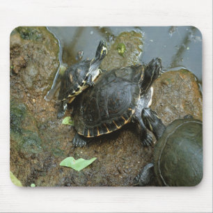 Tapis de souris de tortue