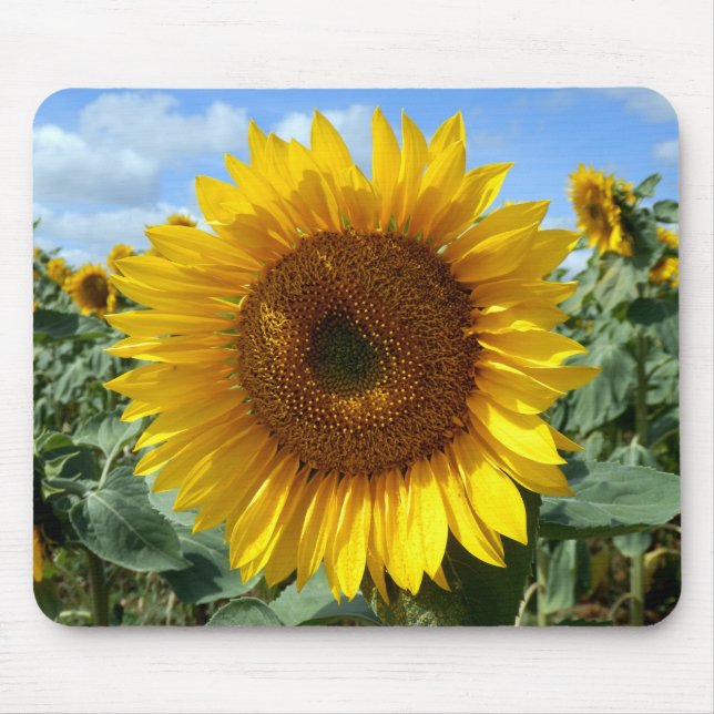 Tapis de souris de tournesol (Devant)