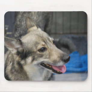 Tapis de souris de Vallhund de Suédois