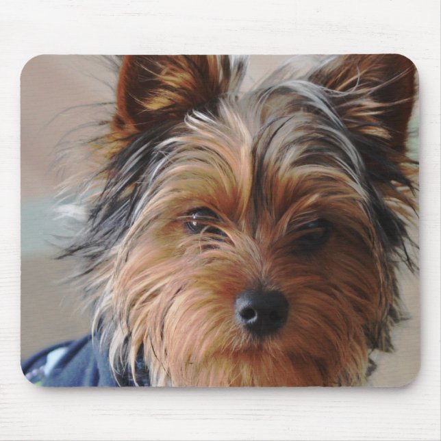 Tapis de souris de Yorkie Terrier (Devant)