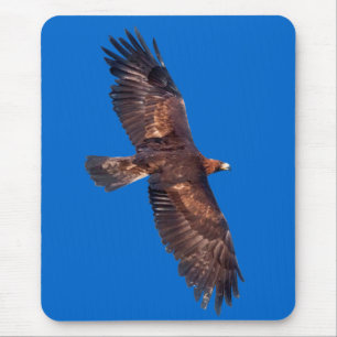 Tapis de souris d'Eagle d'or en vol (bleu)
