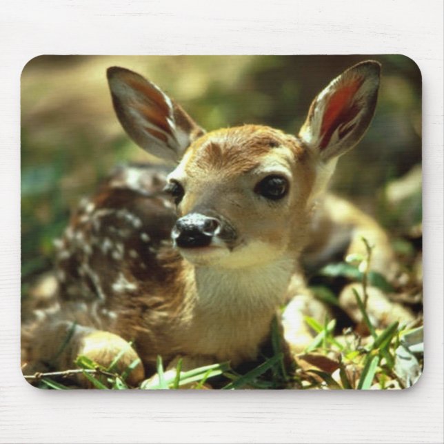 Tapis De Souris Deer Fawn (Devant)