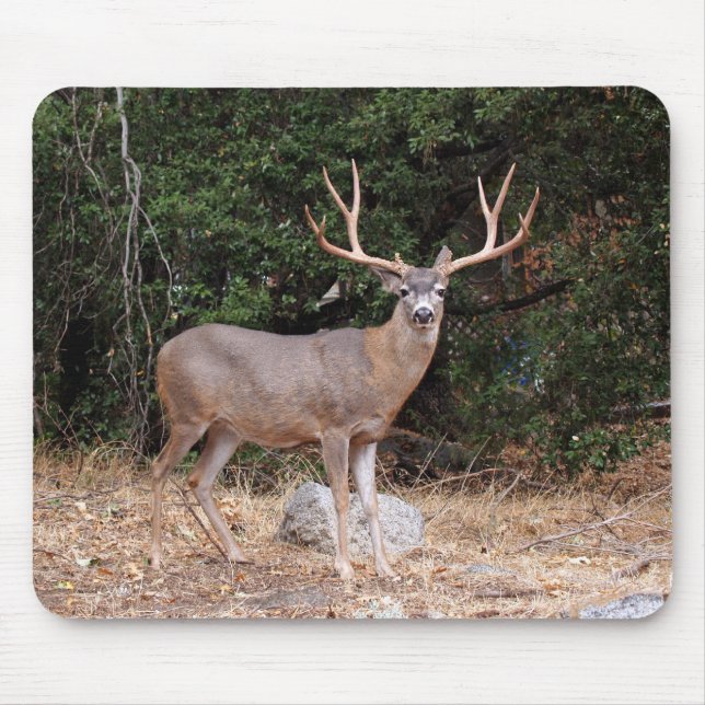 Tapis De Souris Deer Mousepad (Devant)