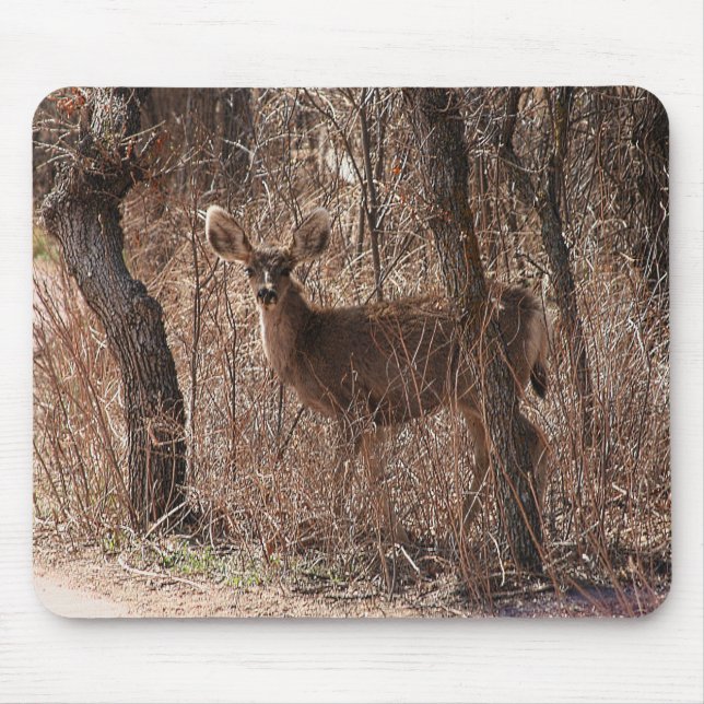 Tapis De Souris Deer Stare (Devant)