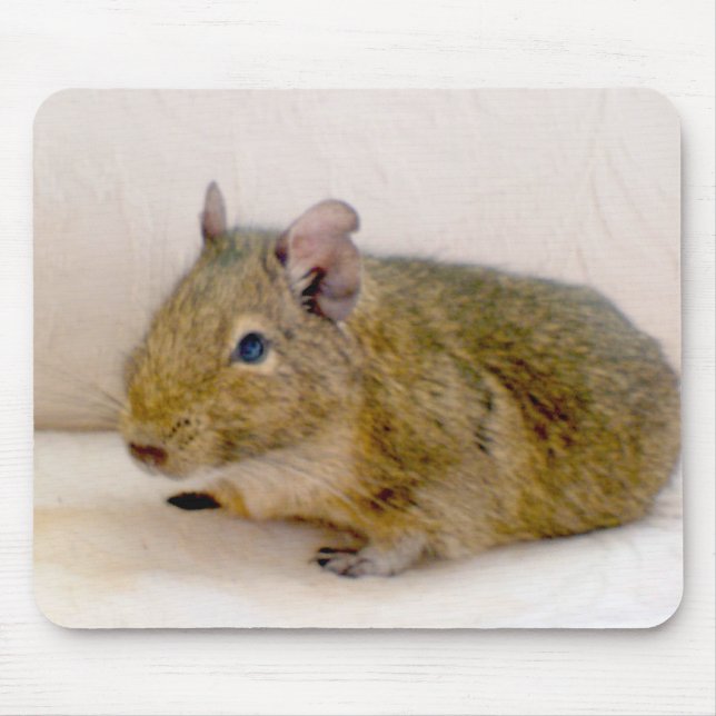 Tapis De Souris Degu Mousepad (Devant)