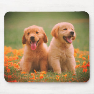 Tapis De Souris Dehors, ensemble, couple, chiens