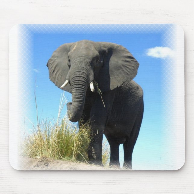 Tapis de souris d'éléphant africain (Devant)