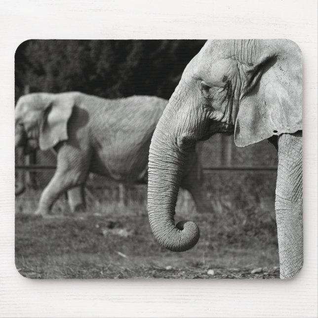 Tapis de souris d'éléphants asiatiques (Devant)