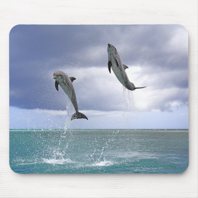 Tapis De Souris Delfin, Delphin, Grosser Tuemmler, Tursiops 2 (Devant)