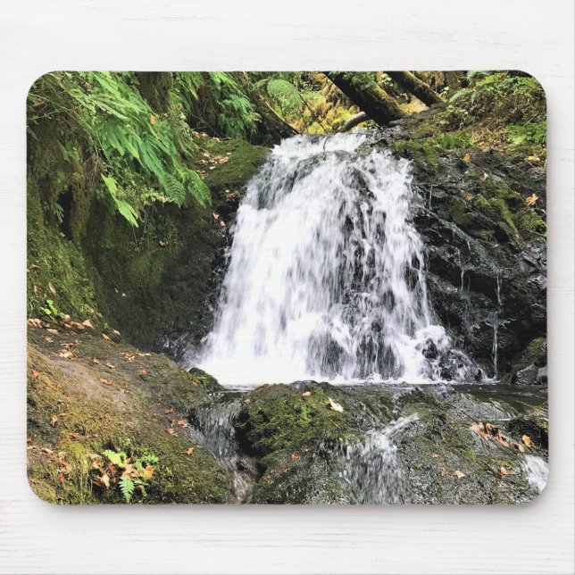 Tapis De Souris Dell Falls, Oregon (Devant)