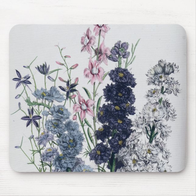 Tapis De Souris Delphiniums, "de fleur Garden des dames" (Devant)