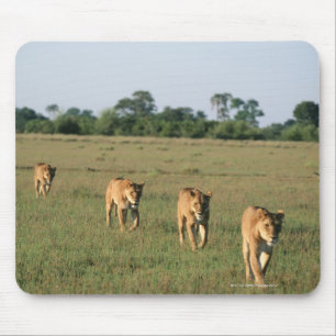 Tapis De Souris Delta d'Okavango, Botswana 4