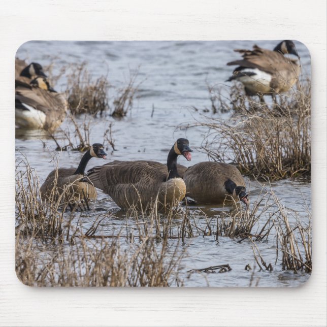 Tapis De Souris Déménagement (Devant)