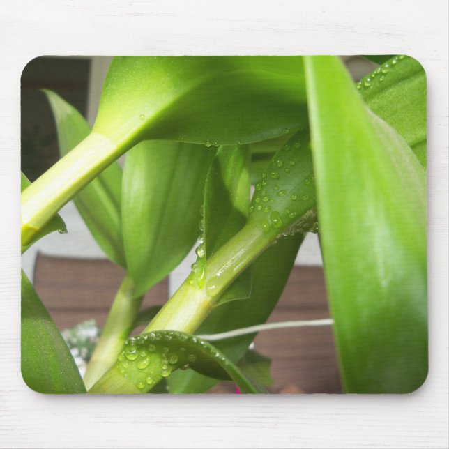 Tapis De Souris Dendrobium Orchidée tiges closeuse (Devant)