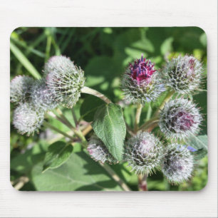 Tapis De Souris dentelle sur chardon