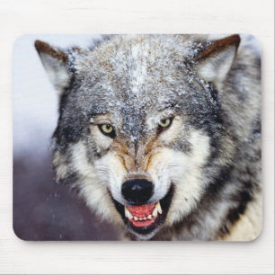 Tapis De Souris Dents de loup gris