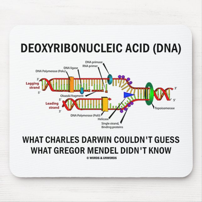 Tapis De Souris Deoxyribonucelic (ADN) Mendel acide Darwin (Devant)
