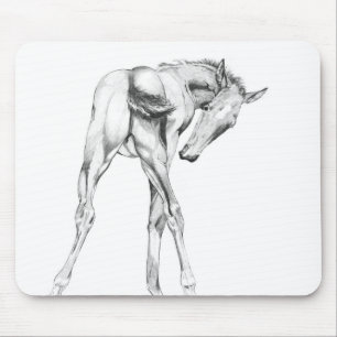 Tapis De Souris Dépouille