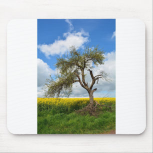 Tapis De Souris Der alte Baum