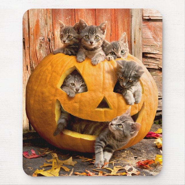 Tapis De Souris Des chatons à Jack-o-Lantern (Devant)