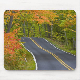 Tapis De Souris Des érables colorés en automne bordent le paysage