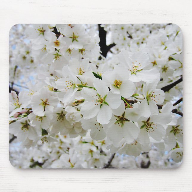 Tapis de souris des fleurs de cerisier 3 (Devant)