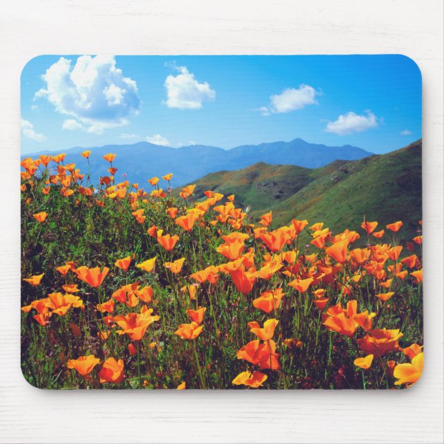 Tapis De Souris Des pavots de Californie recouvrent une colline (Devant)