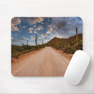 Tapis De Souris Deserts Saguaro National Park Arizona