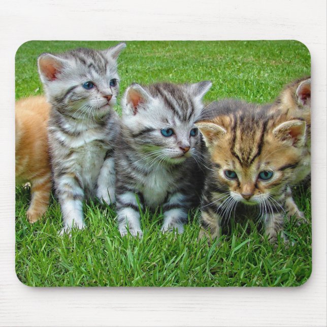 Tapis De Souris Design - Cute chatons (Devant)