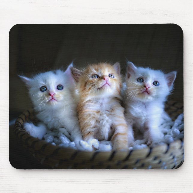 Tapis De Souris Design - Cute Kittens (Devant)