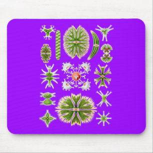 Tapis De Souris Desmids