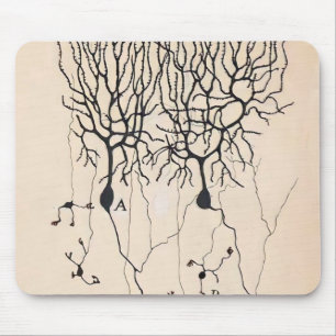 Tapis De Souris Dessin De Neurone Vintage Par Santiago Ramón y Ca