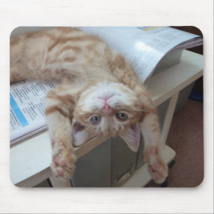 Tapis De Souris Détente de Kitty
