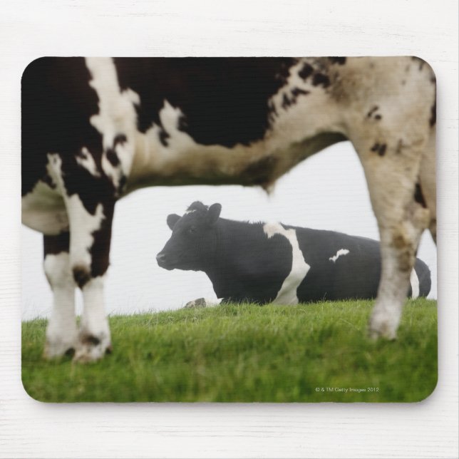 Tapis De Souris deux (Devant)