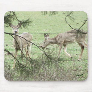 Tapis De Souris Deux cerfs et pins