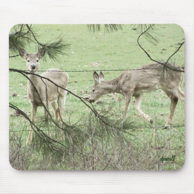 Tapis De Souris Deux cerfs et pins (Devant)