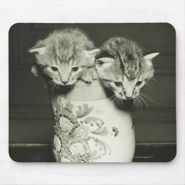 Tapis De Souris Deux chatons cachés dans le vase, (B&W) (Devant)