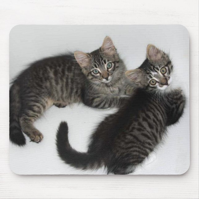 Tapis De Souris Deux chatons chatons à souris (Devant)