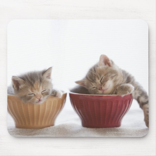 Tapis De Souris Deux chatons dorment dans les boeufs (Devant)