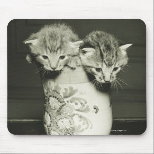Tapis De Souris Deux chatons se cachant dans le vase, (B&W)