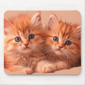 Tapis De Souris Deux chatons très mignons sur une tablette de bure