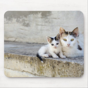 Tapis De Souris Deux chats sur les étapes en pierre