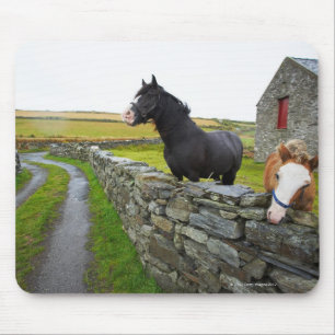 Tapis De Souris Deux chevaux à la ferme en Angleterre rurale