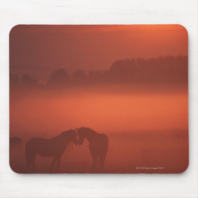 Tapis De Souris Deux chevaux au coucher du soleil (Devant)